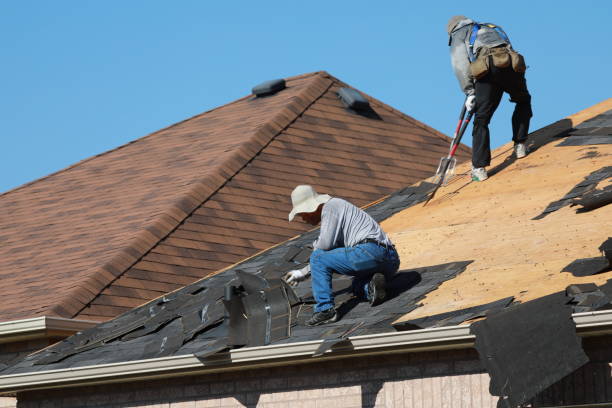 Best Roof Maintenance and Cleaning  in Manassas, VA